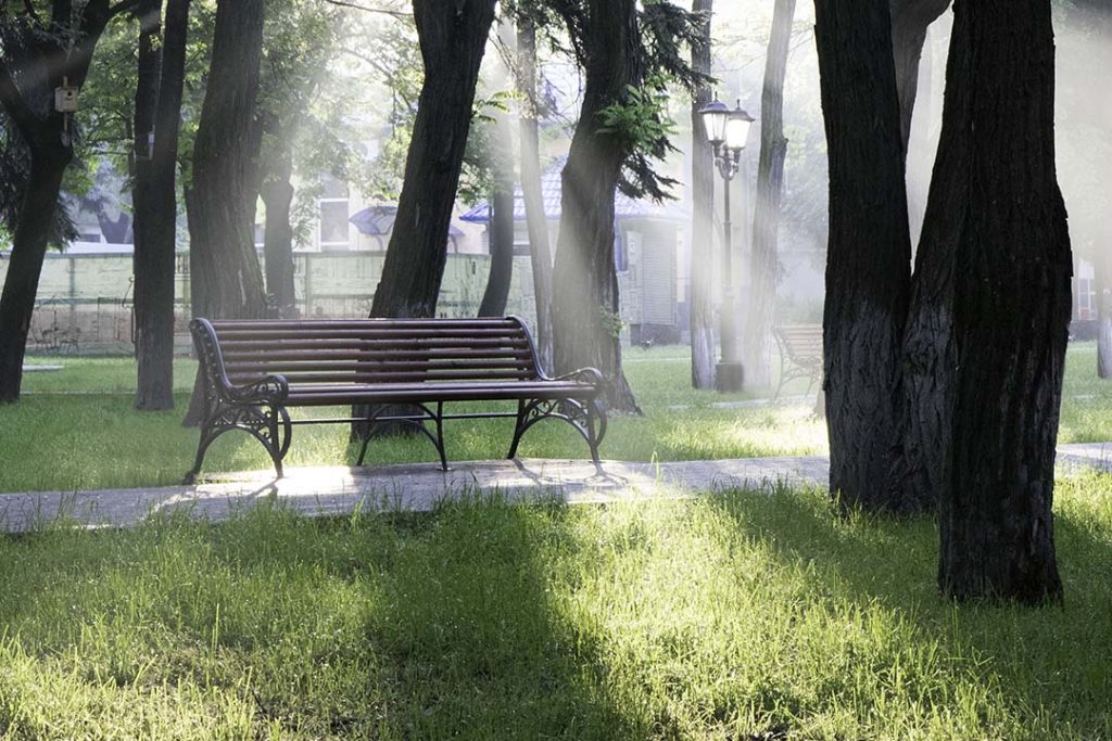 an empty bench between the trees in the park